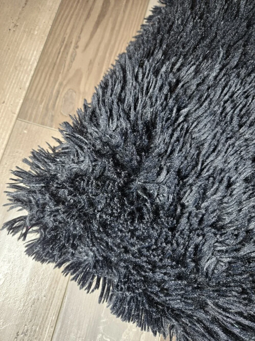 Studio D Black Blanket 50